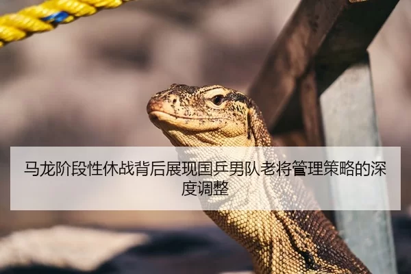 马龙阶段性休战背后展现国乒男队老将管理策略的深度调整