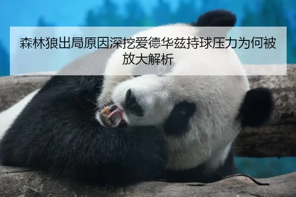 森林狼出局原因深挖爱德华兹持球压力为何被放大解析
