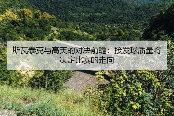 si-wa-tai-ke-yu-gao-fu-de-dui-jue-qian-zhan-jie-fa-qiu-zhi-liang-jiang-jue-ding-bi-sai-de-zou-xiang-2-603.jpg