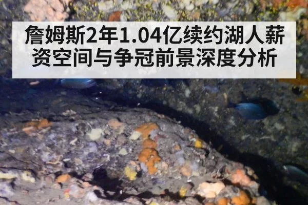 詹姆斯2年1.04亿续约湖人薪资空间与争冠前景深度分析