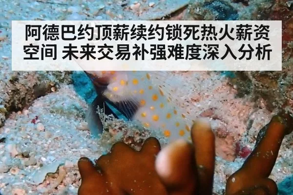 阿德巴约顶薪续约锁死热火薪资空间 未来交易补强难度深入分析